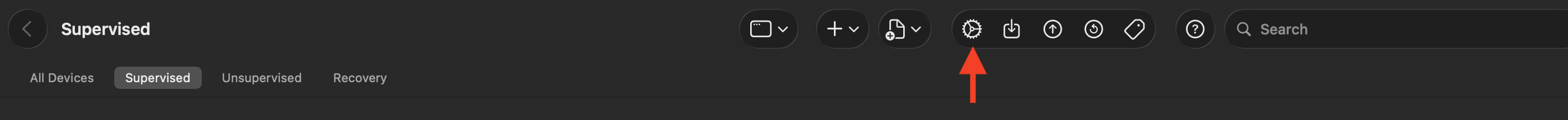img 5.png